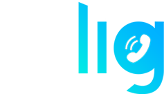 Nova Lig
